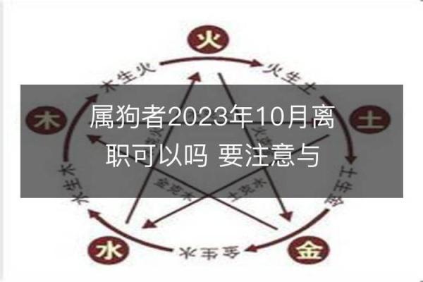 2016年属狗的人命运解析：从性格到事业全方位剖析