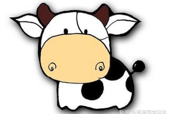 牛年夏季出生宝宝的命运与性格分析