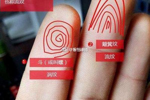 探秘彩凤之命：命格的深意与人生启示