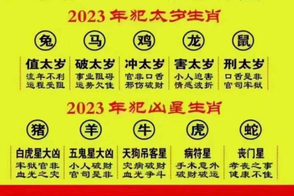 2023年属什么命：解读这个充满希望与挑战的一年