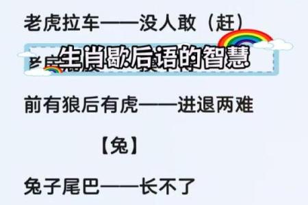 揭示十二生肖男人命运：他们各自的性格与命格解读
