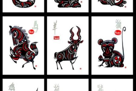 探秘十二生肖：不同生肖与命运的奇妙联系