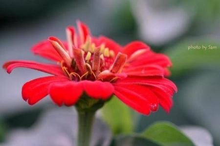 2011年木兔命解析：如何发掘和利用你的好运与潜力