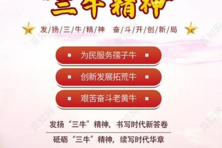 1986年出生的牛年命运解析：激情与奋斗的结合体