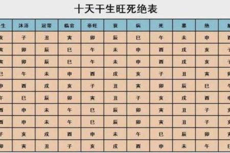 命理学中的“子”：揭示命运的暗示与力量
