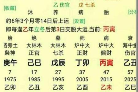 八字命理解读：男命与女命的深刻差异与启示