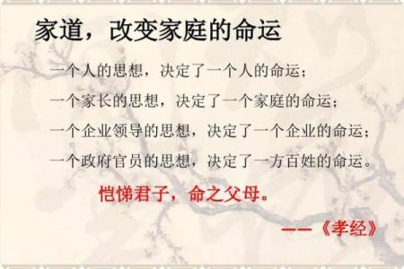 1996正月20日出生的人命理解析：探索命运的奥秘与人生之路