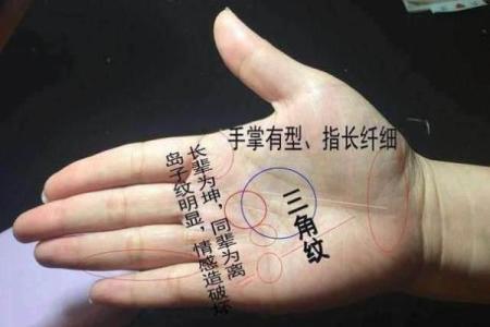 命理中的断掌说法：揭示你的人生轨迹与性格特征！