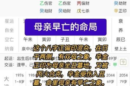 解析正命格：如何理解命局的优劣与人生走向