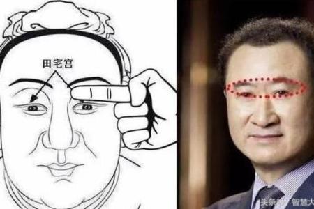 大溪水命的特征与人生轨迹：解读命理背后的智慧