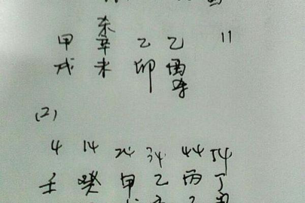 1991年农历8月6日出生的命格分析与人生启示