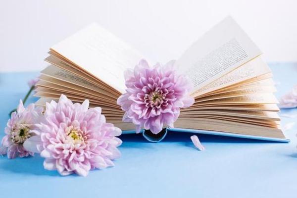 1997年8月16日出生者命运解析：人生旅途中的智慧与挑战