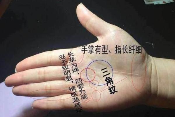 命理探讨：坤命与什么命的人最合适？