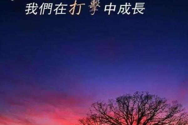马子恒的命运之路：从命理看他的人生智慧与选择