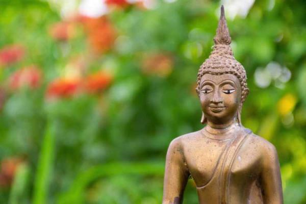 揭秘男人童子命的特征与影响,解读命运的隐秘面纱 揭秘男人童子命的特征与影响,解读命运的隐秘面纱