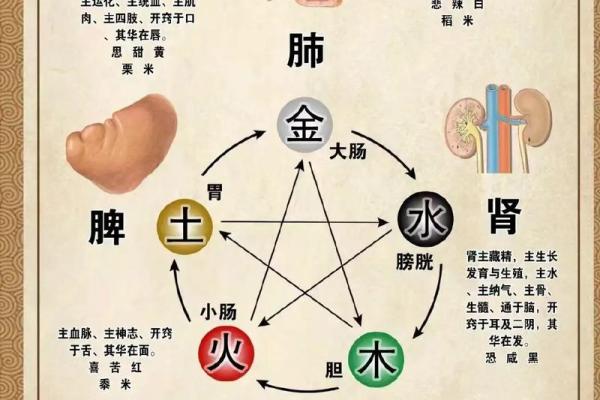 五行命理解析：了解金木水火土的深刻意义与影响