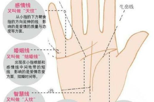 揭秘：这几种手相的女性，命运特别好，拥有幸福人生！