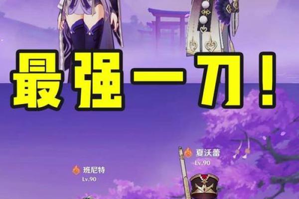 雷电将军四命效果解析:无畏战斗与元素共鸣之美 雷电将军四命效果解析:无畏战斗与元素共鸣之美