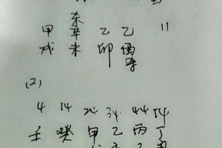 1991年农历8月6日出生的命格分析与人生启示