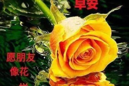 火命适合开业的最佳日子解析与选择指南