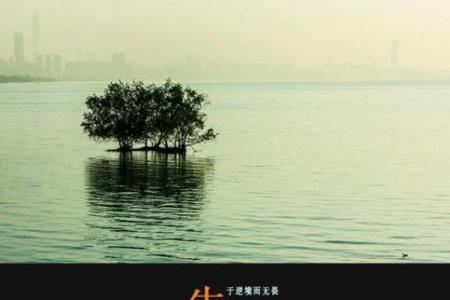 信命不命：寻找生活的真谛与希望