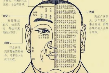 马子恒的命运之路：从命理看他的人生智慧与选择