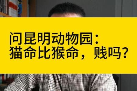 命贵还是命贱：探讨生活与价值的深层意义