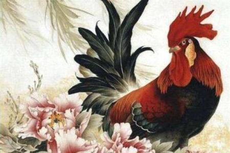 六九年属鸡，探索其命运与性格特征