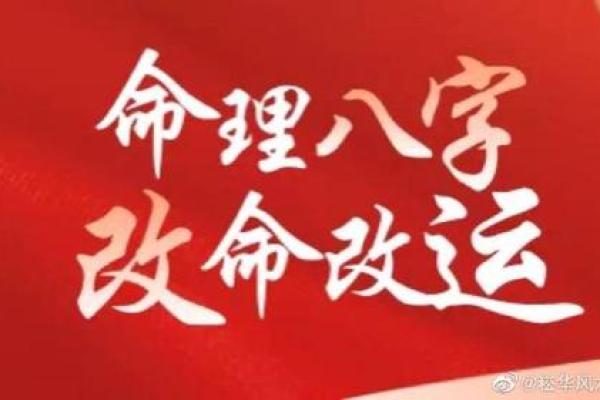 探索十二命理：如何根据属性了解你的命运与人生之路