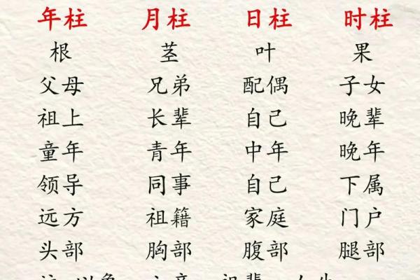 命理解析：命7女命4男，揭示潜在的人生运势与情感关系！