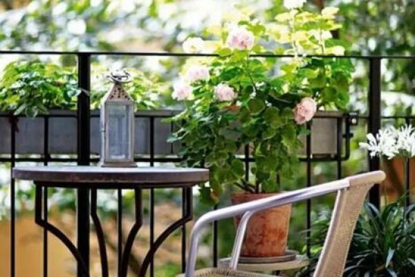 庚寅男性的情感向往：寻找理想伴侣的旅程