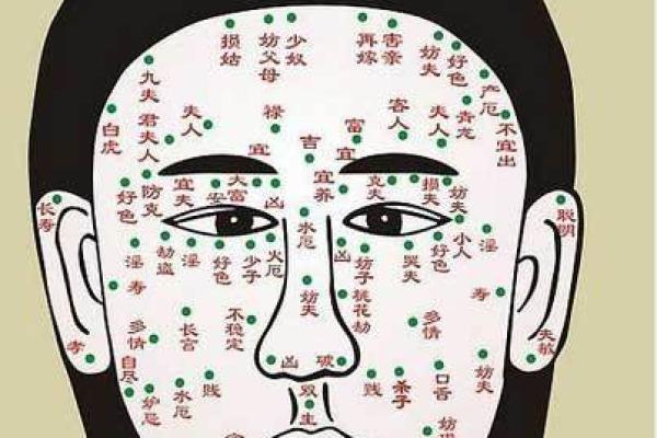 19909月出生的人：命运、性格与生活的深刻解析