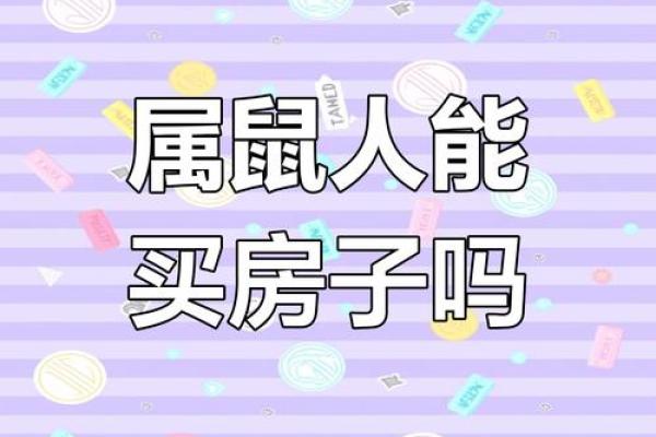 2023年属鼠人的命运分析与生活指南 2023年属鼠人的命运分析与生活指南