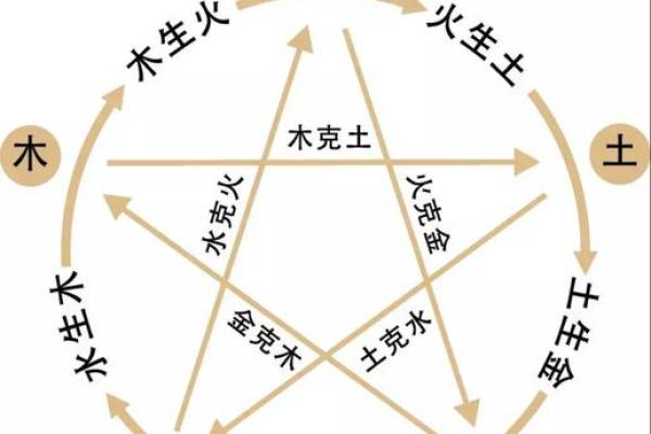 探讨木命的命运：背后的原因与解决之道