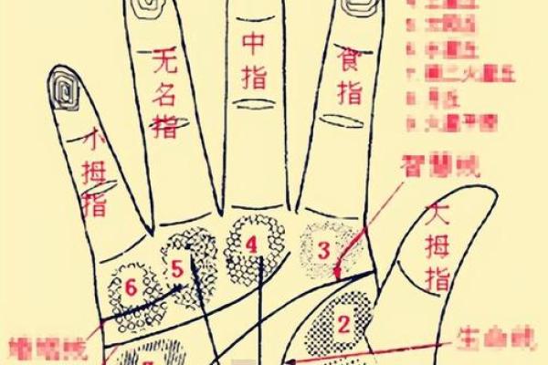 测手掌长度解析：你的命运与个性到底有何关联？
