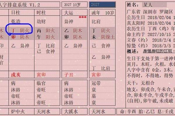 探讨女山头火命格的适合性与命理分析