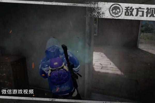 和平精英包命:你不知道的游戏内秘密与策略 和平精英包命:你不知道的游戏内秘密与策略