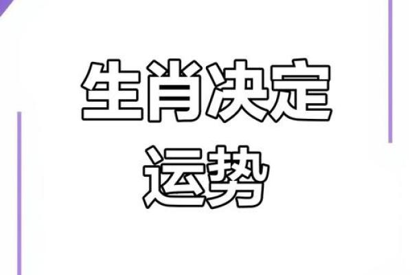 命里藏什么属相最好：探究生肖与命运的奥秘