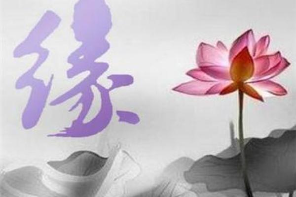 探秘数字43：马的命理归属与土命的神秘关联