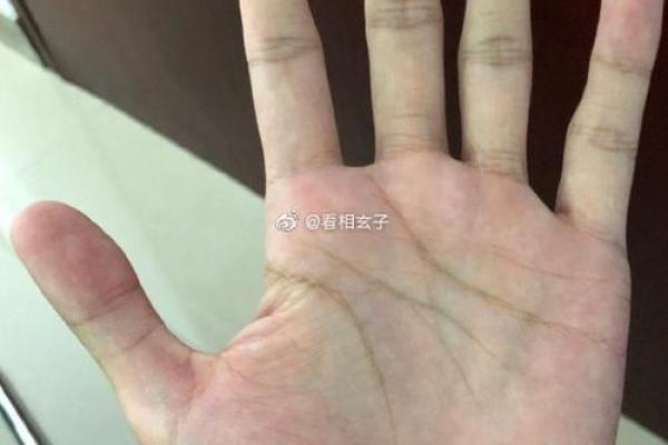 探秘数字43：马的命理归属与土命的神秘关联