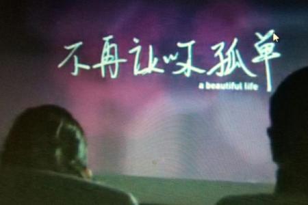 命里无桃花，爱在哪里？寻找情感的真谛与内心的和谐