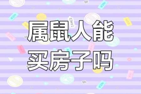2023年属鼠人的命运分析与生活指南