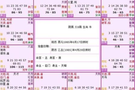 探索人格17的命理特征与人生指引