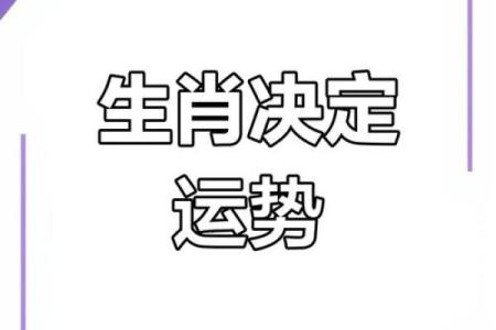 命里藏什么属相最好：探究生肖与命运的奥秘