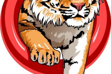 1986年属虎女孩的命运与个性解析