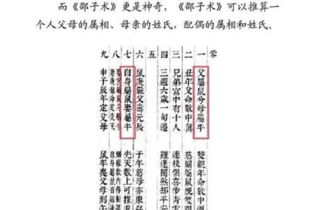 探寻命与人的奇妙交织：从命理角度看人生的不同轨迹