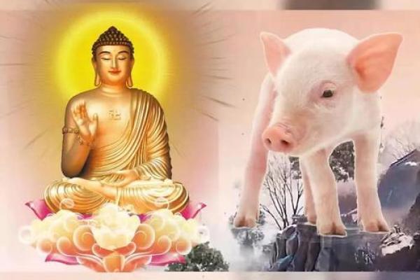 1983属猪人的命运解析:如何发掘人生的最佳方向 1983属猪人的命运解析:如何发掘人生的最佳方向