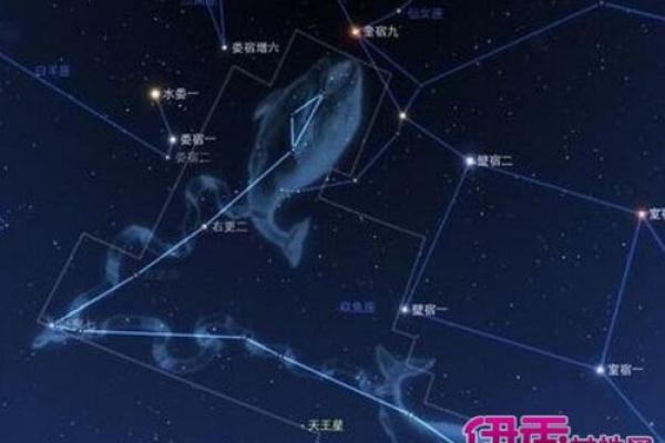 1967年的命格解析：揭示属羊者的独特人生轨迹与智慧