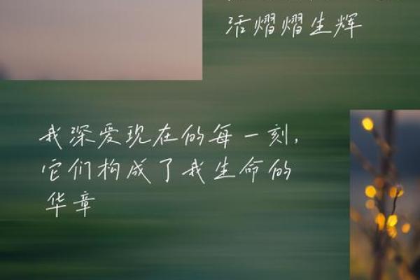 活在当下，享受生活的美好与命运的馈赠