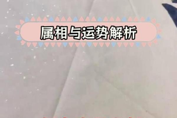 金命者交运忌讳的属相与运势提升秘籍